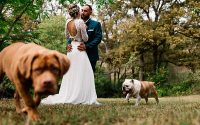 Mariage à la maison, Pau